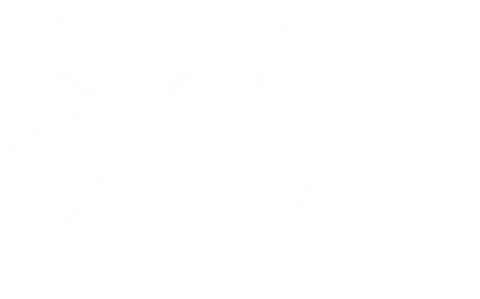 Cyber Guard Sweden